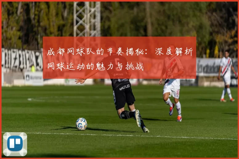 成都网球队的节奏揭秘：深度解析网球运动的魅力与挑战