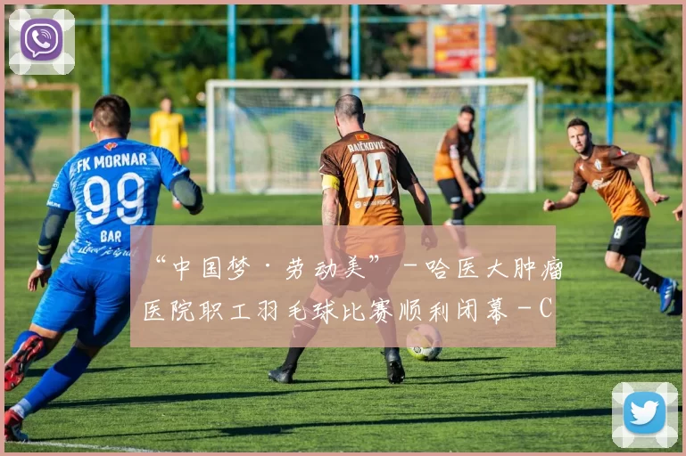 “中国梦·劳动美” - 哈医大肿瘤医院职工羽毛球比赛顺利闭幕 - Copy (11)