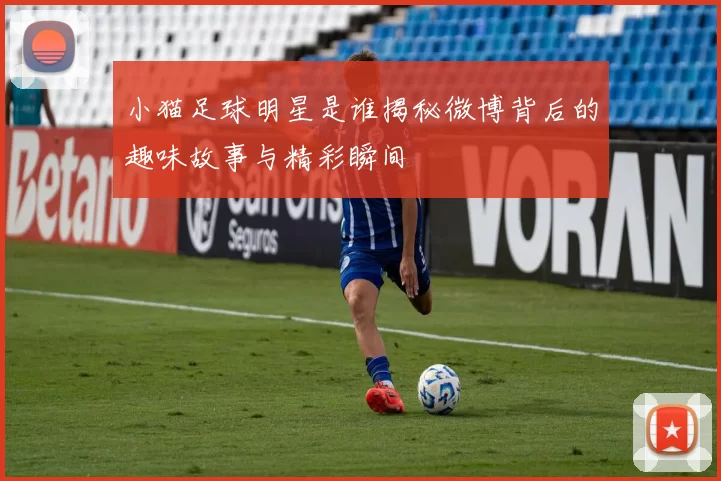 小猫足球明星是谁揭秘微博背后的趣味故事与精彩瞬间