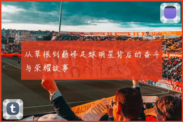 从草根到巅峰足球明星背后的奋斗与荣耀故事