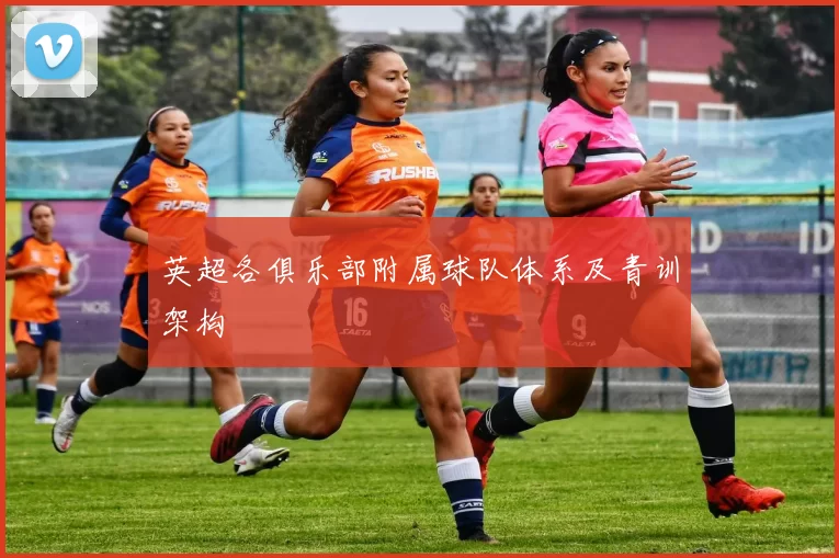 英超各俱乐部附属球队体系及青训架构