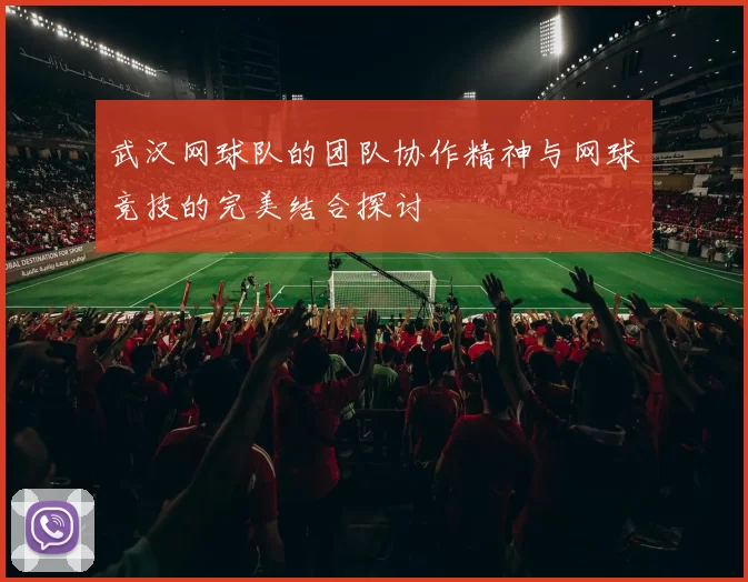 武汉网球队的团队协作精神与网球竞技的完美结合探讨