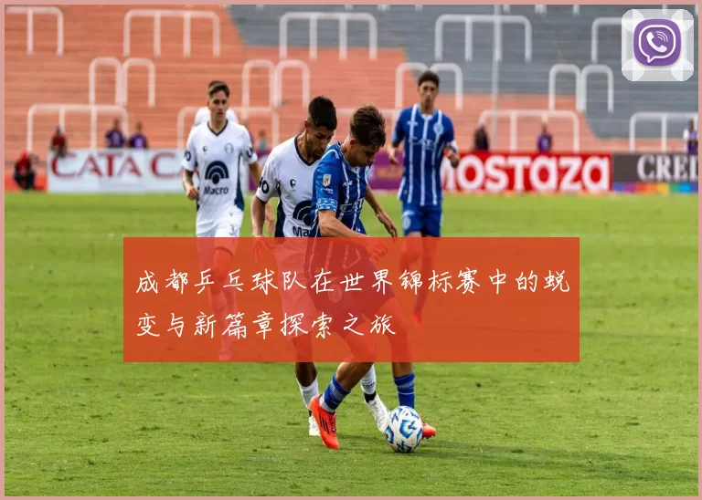 成都乒乓球队在世界锦标赛中的蜕变与新篇章探索之旅