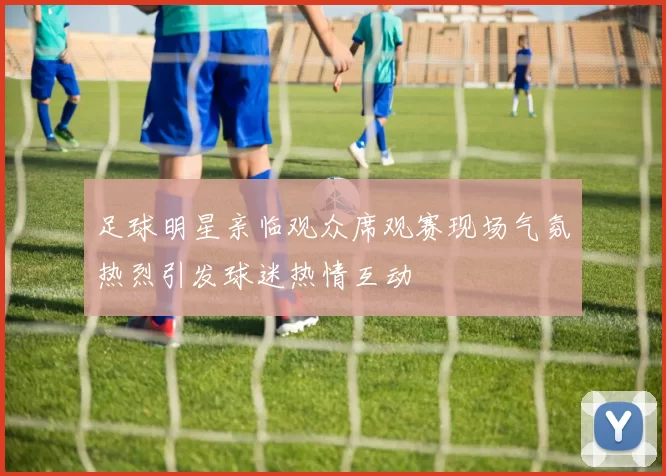 足球明星亲临观众席观赛现场气氛热烈引发球迷热情互动