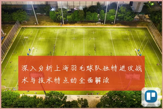 深入分析上海羽毛球队独特进攻战术与技术特点的全面解读