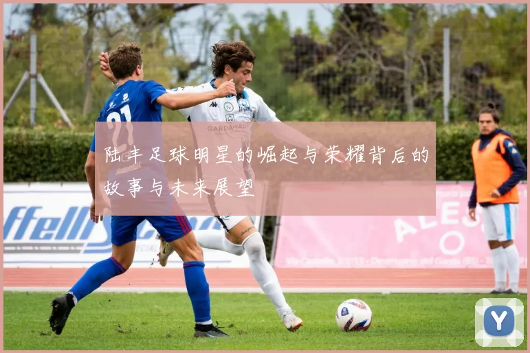 陆丰足球明星的崛起与荣耀背后的故事与未来展望