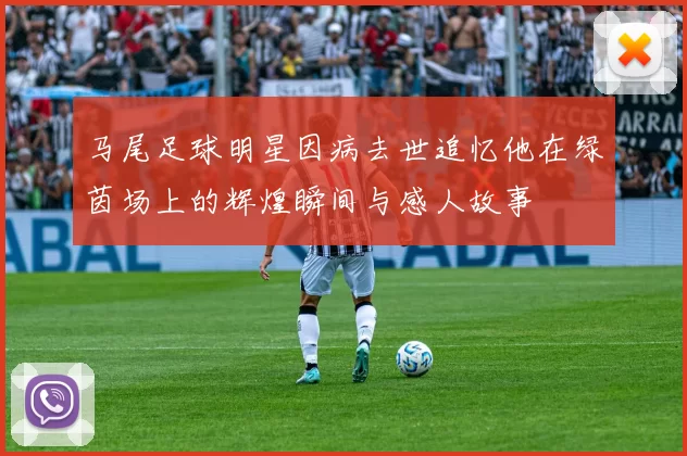 马尾足球明星因病去世追忆他在绿茵场上的辉煌瞬间与感人故事