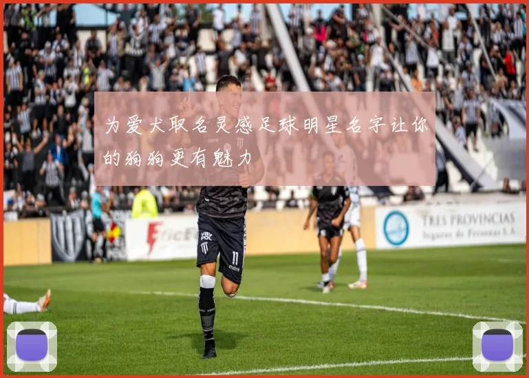 为爱犬取名灵感足球明星名字让你的狗狗更有魅力