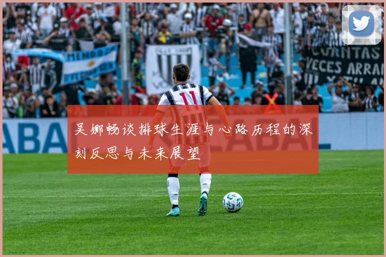 吴娜畅谈排球生涯与心路历程的深刻反思与未来展望