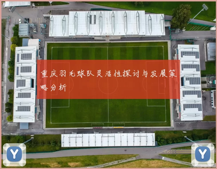 重庆羽毛球队灵活性探讨与发展策略分析