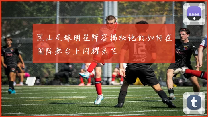 黑山足球明星阵容揭秘他们如何在国际舞台上闪耀光芒