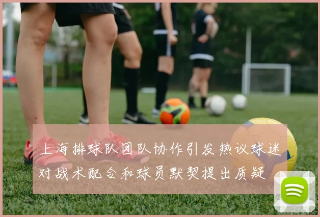 上海排球队团队协作引发热议球迷对战术配合和球员默契提出质疑
