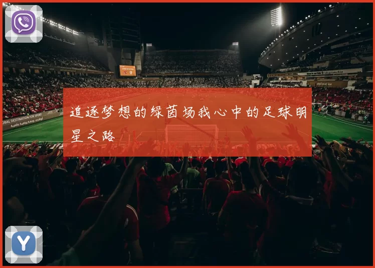 追逐梦想的绿茵场我心中的足球明星之路