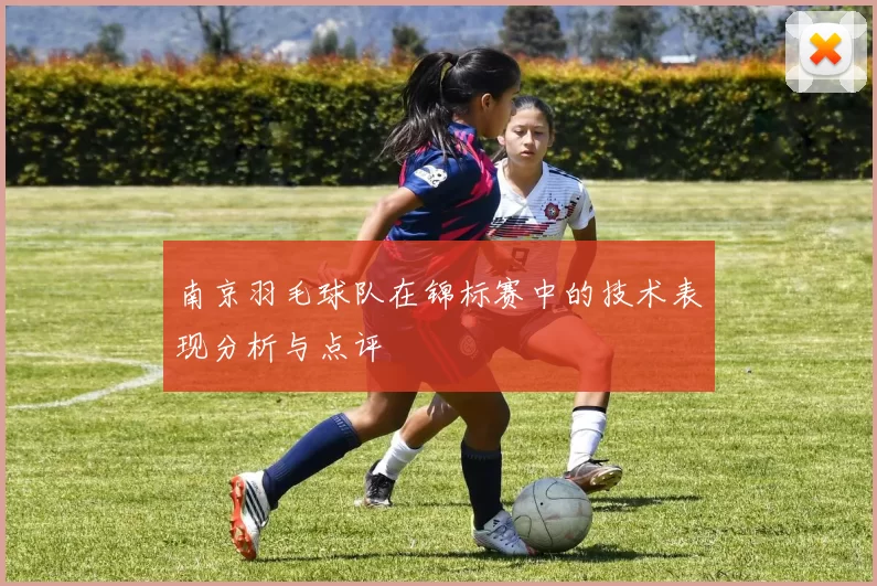 南京羽毛球队在锦标赛中的技术表现分析与点评