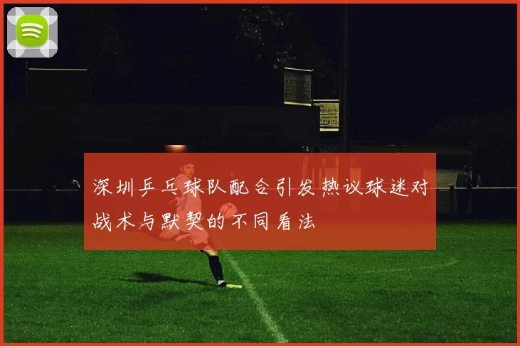 深圳乒乓球队配合引发热议球迷对战术与默契的不同看法