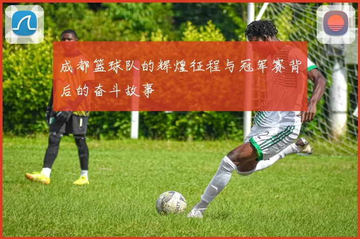 成都篮球队的辉煌征程与冠军赛背后的奋斗故事