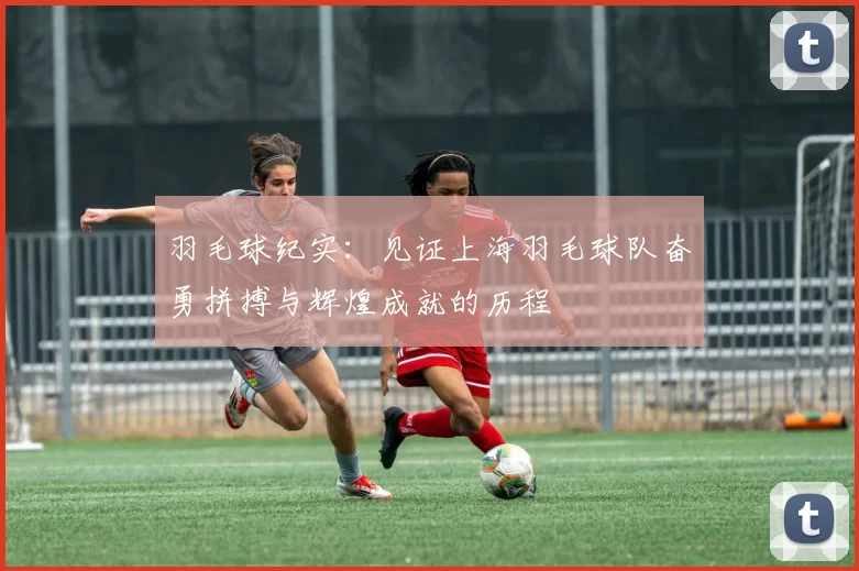 羽毛球纪实：见证上海羽毛球队奋勇拼搏与辉煌成就的历程