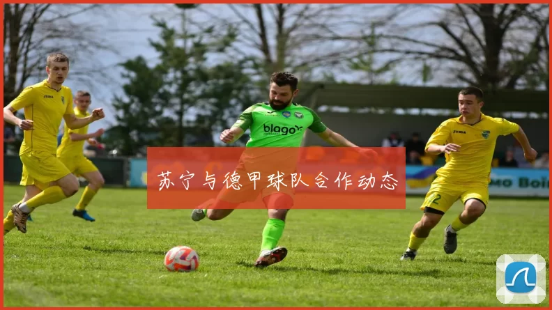 苏宁与德甲球队合作动态
