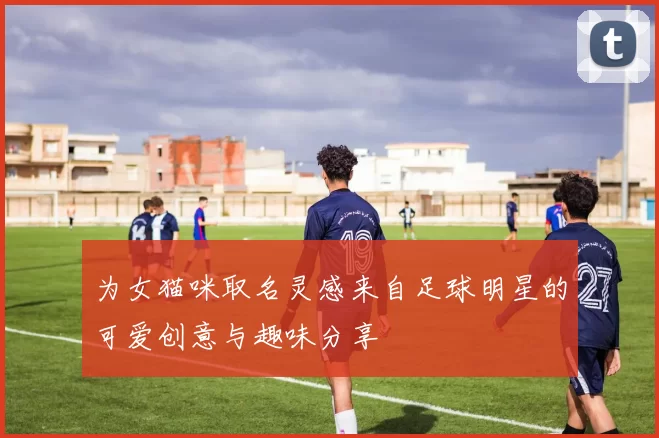 为女猫咪取名灵感来自足球明星的可爱创意与趣味分享