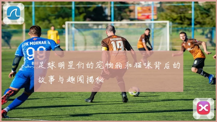 足球明星们的宠物狗和猫咪背后的故事与趣闻揭秘