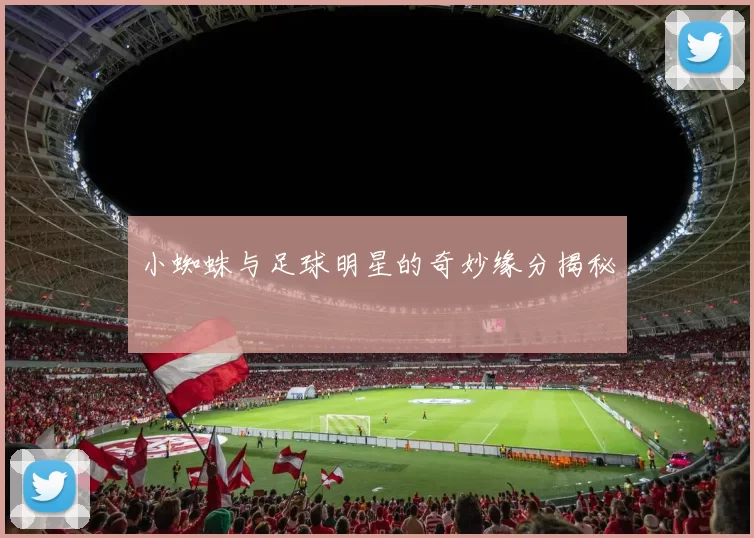 小蜘蛛与足球明星的奇妙缘分揭秘