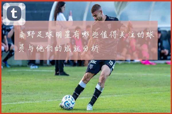 南野足球明星有哪些值得关注的球员与他们的成就分析