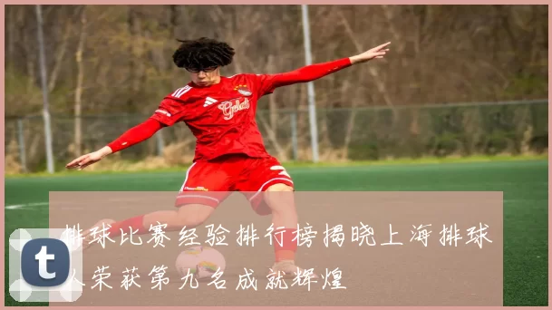 排球比赛经验排行榜揭晓上海排球队荣获第九名成就辉煌