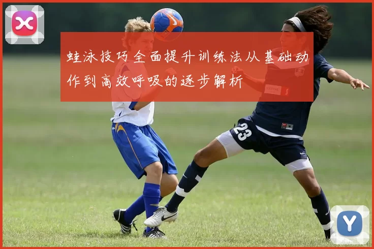 蛙泳技巧全面提升训练法从基础动作到高效呼吸的逐步解析