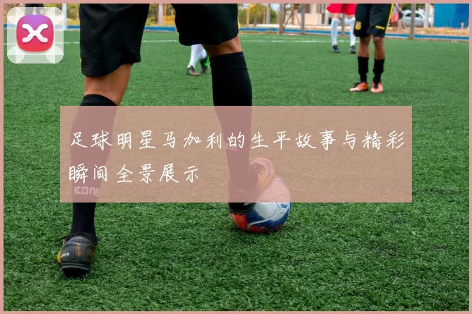 足球明星马加利的生平故事与精彩瞬间全景展示