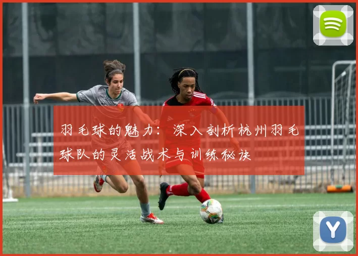 羽毛球的魅力：深入剖析杭州羽毛球队的灵活战术与训练秘诀