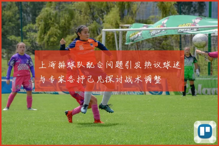 上海排球队配合问题引发热议球迷与专家各抒己见探讨战术调整
