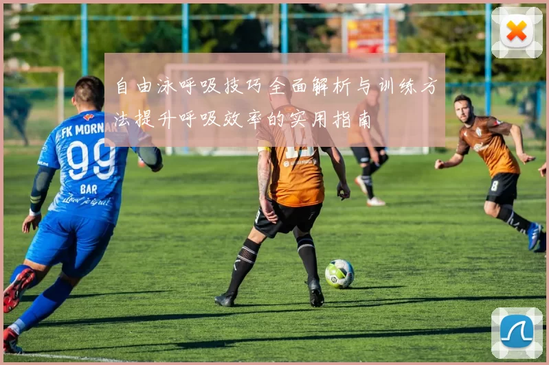 自由泳呼吸技巧全面解析与训练方法提升呼吸效率的实用指南