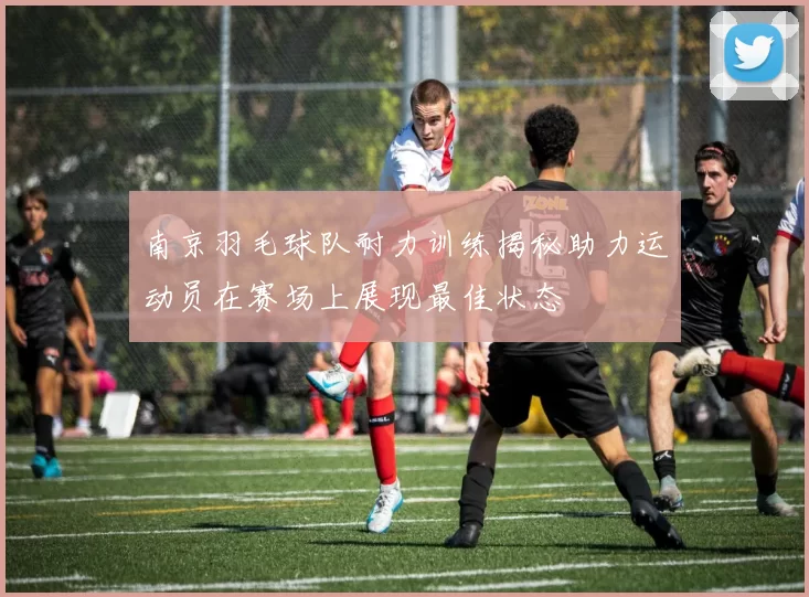 南京羽毛球队耐力训练揭秘助力运动员在赛场上展现最佳状态