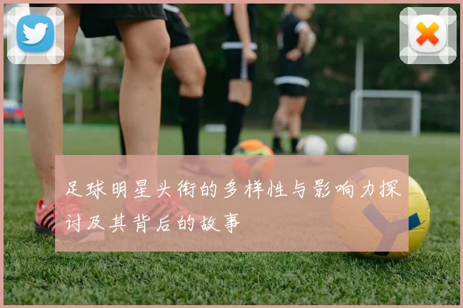 足球明星头衔的多样性与影响力探讨及其背后的故事
