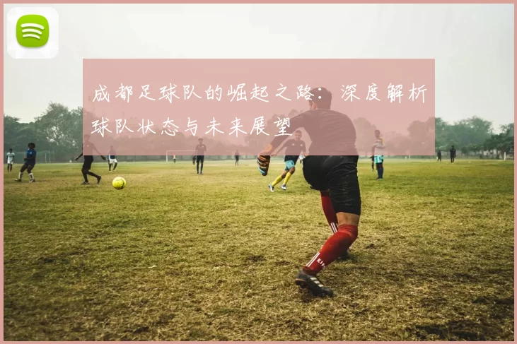成都足球队的崛起之路：深度解析球队状态与未来展望