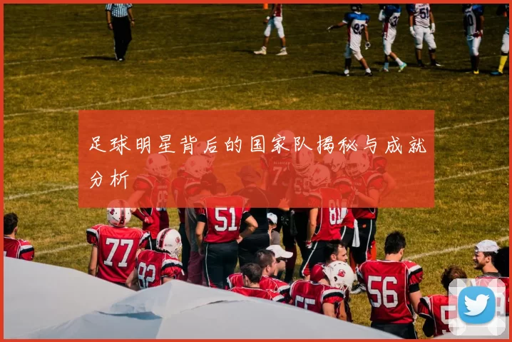 足球明星背后的国家队揭秘与成就分析