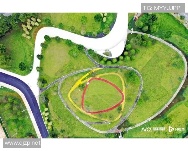 广州飞盘队防守体系解析:飞盘战术的创新与实践探索