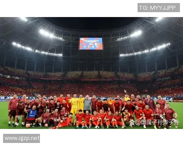 世界杯决赛：历史之战与荣耀的巅峰对决，球迷热情燃烧的瞬间