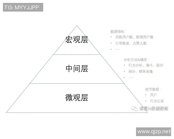 TES盯防策略分析：成功与失误的深度剖析与反思