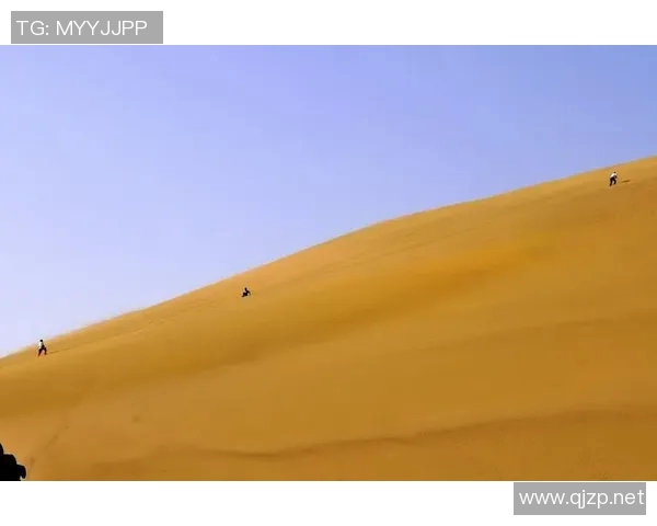 北京攀岩队的成功运营模式与发展策略深度解析